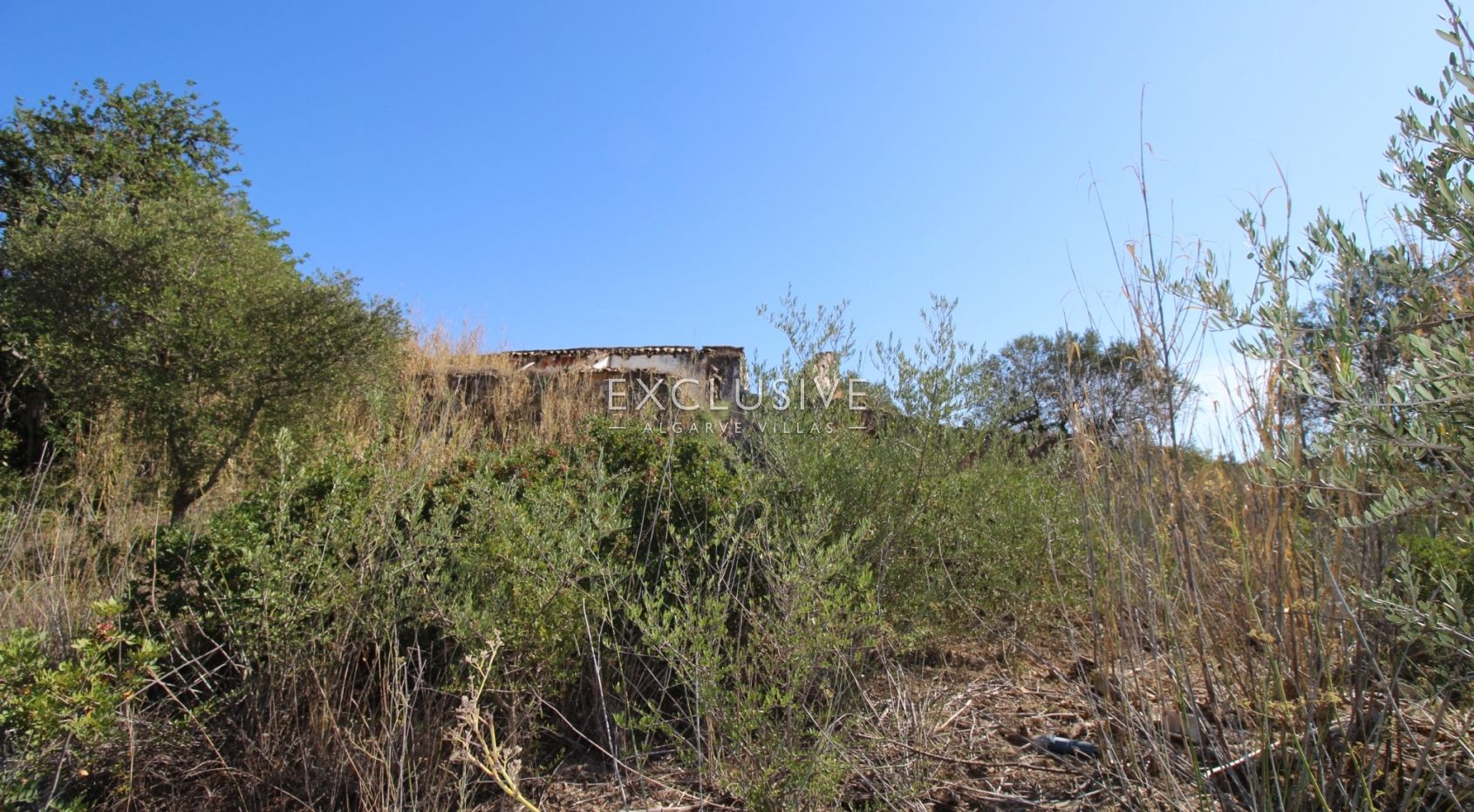 Plot with approved project in Loulé, Loulé, Portugal
