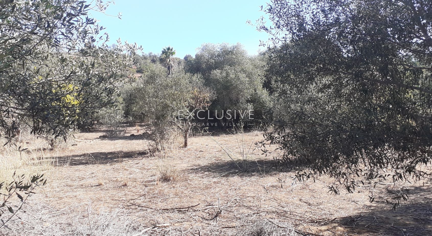 Fantastic plot for construction, Central Algarve, photo 7