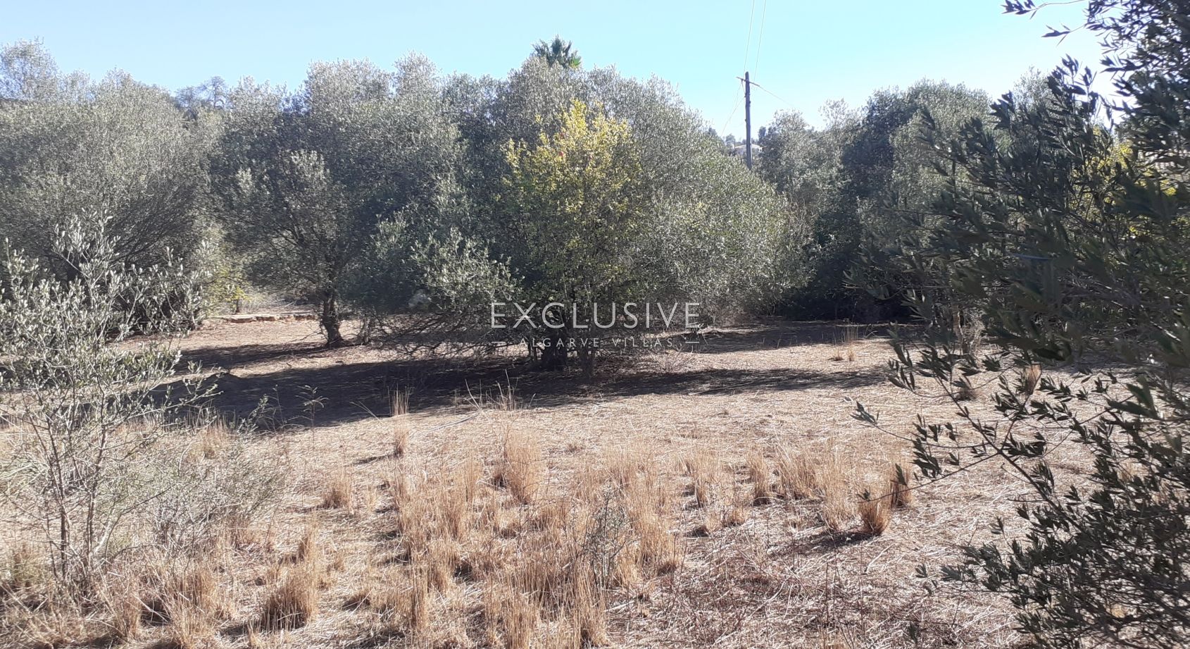 Fantastic plot for construction, Central Algarve, photo 8