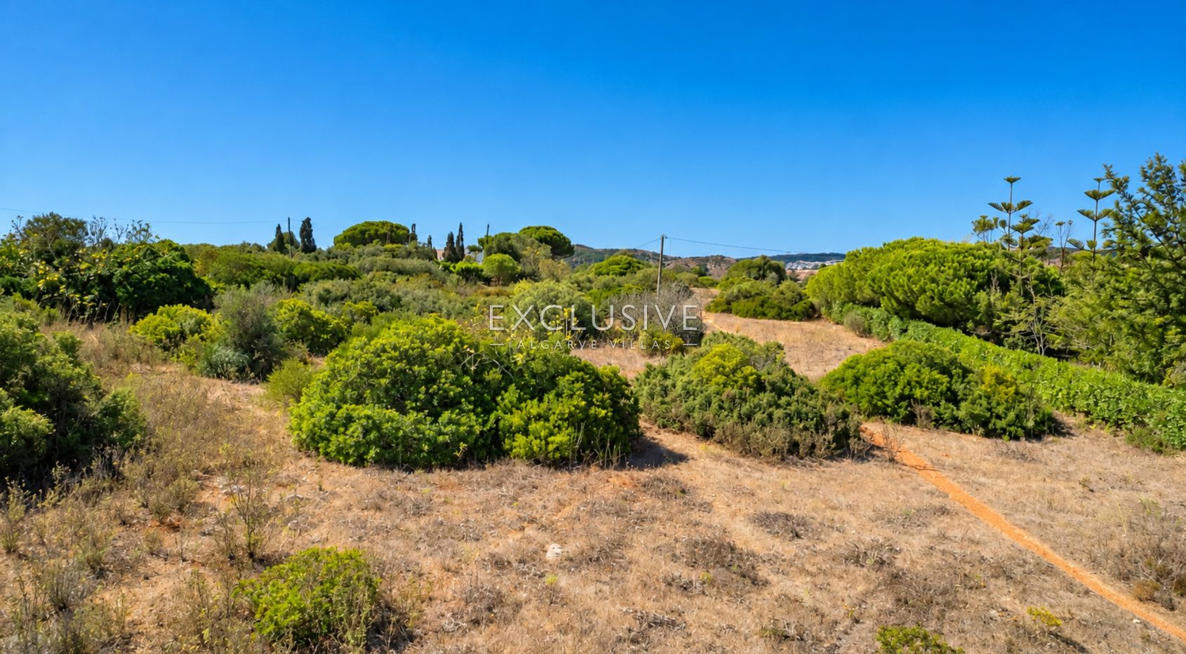 Large Building Plot in Barão de São Miguel, West Algarve, photo 8