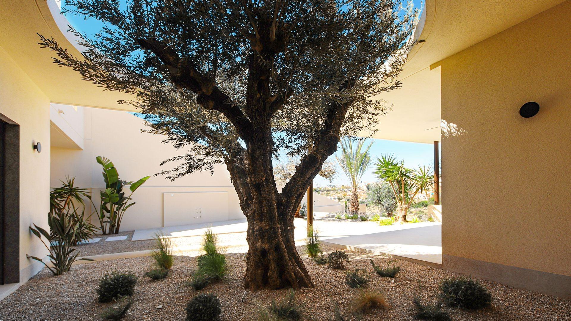 villa in San Fulgencio — photo 5