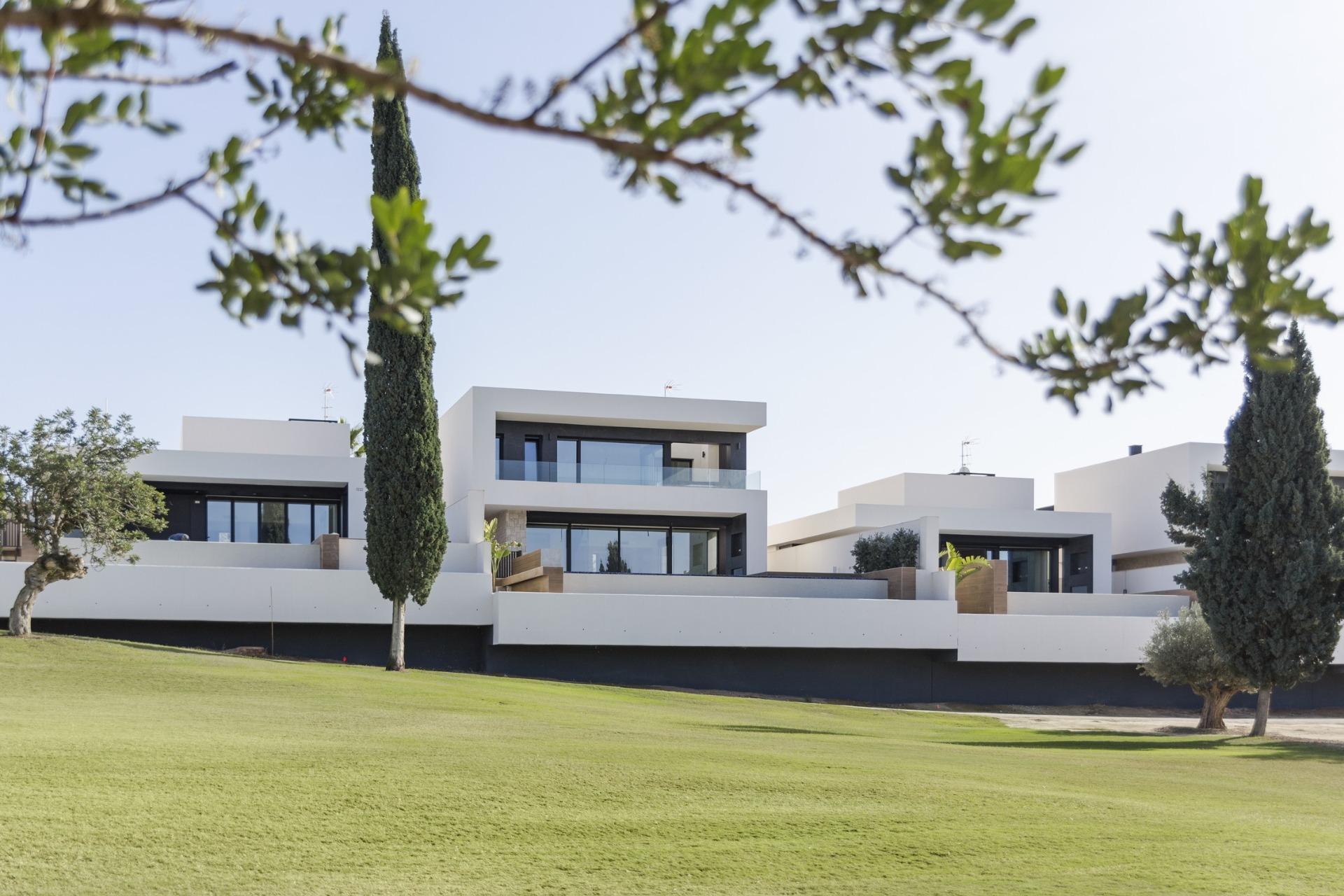 Villa in Algorfa, photo 3