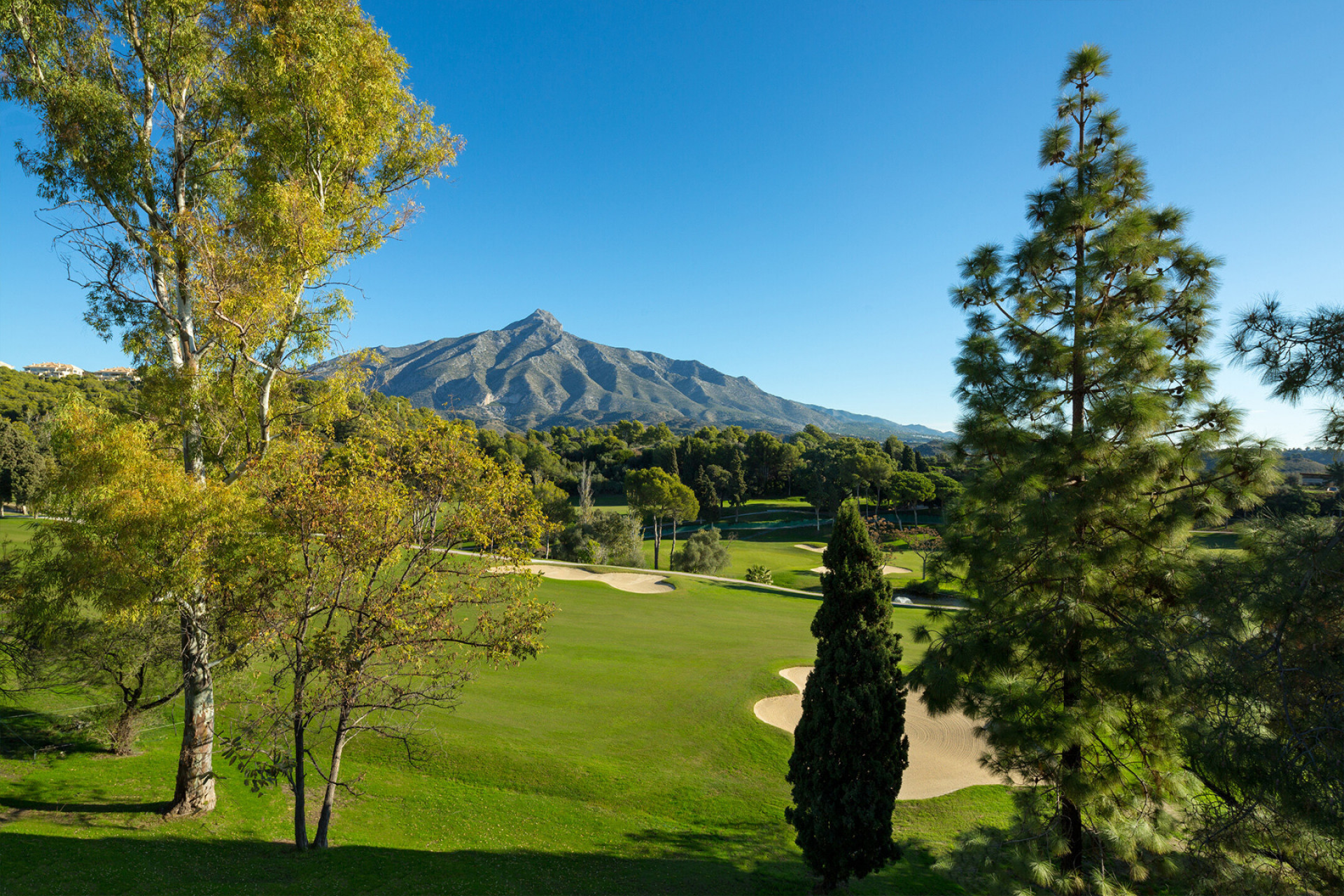 Villa in Marbella, photo 5